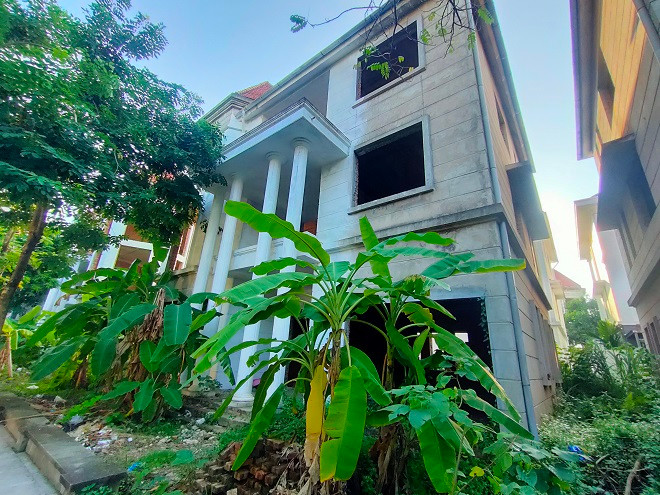 Hay biến thành những vườn chuối xum xuê, xanh tốt.