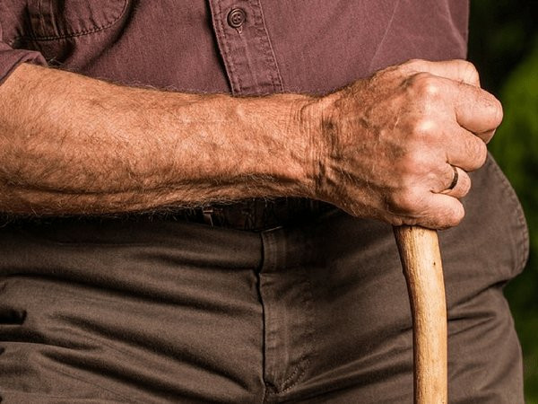 Canxi trong đỗ cô ve ngăn ngừa sự suy thoái xương và chứng loãng xương.