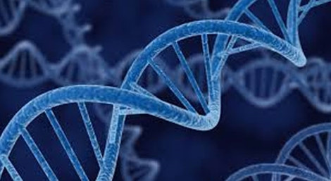 2. Dự án 100.000 bộ gene của Anh được hoàn thiện: Vào năm 2018, dự án tìm cách mã hóa, sắp xếp bộ gene của 100.000 bệnh nhân của các nhà khoa học Anh Quốc sẽ có kết quả. Nếu thành công, đây sẽ là sự kiện thú vị mở ra kỷ nguyên "cá nhân hóa y học". Những căn bệnh nguy hiểm và hiếm gặp sẽ có thể được mã hóa để tìm ra phương thuốc chữa trị riêng, tùy theo thể trạng từng bệnh nhân.