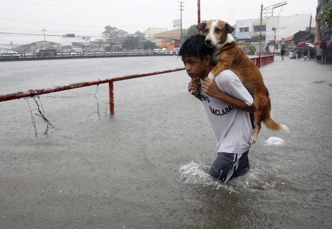 Một cậu bé cõng con chó của mình vượt qua vùng nước lũ ở Manila, Philippines. Ảnh: Reuters.