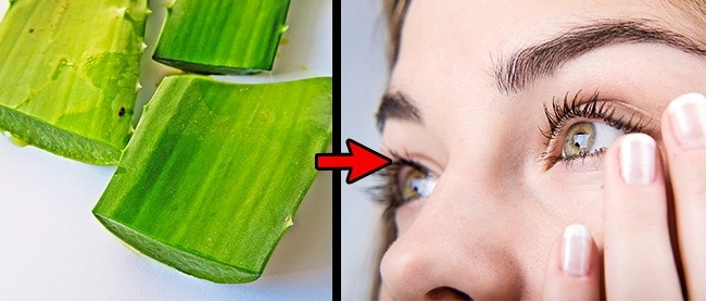 Dùng gel lô hội dưỡng lông mi: Lấy một lá lô hội tươi, vắt vài giọt nước để bôi vào lông mi. Để nguyên như vậy cho đến khi tỉnh dậy rồi rửa sạch mắt.