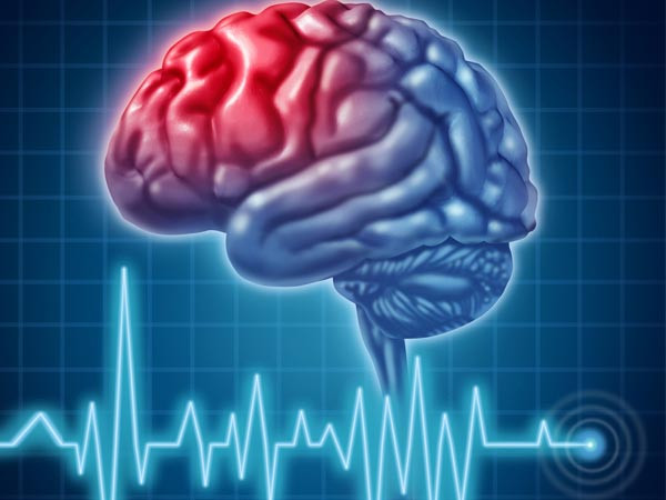 Đi xe đạp giúp xây dựng các tế bào não mới trong vùng hippocampus - vùng chịu trách nhiệm về bộ nhớ. Nó làm tăng oxy và lưu lượng máu đến các tế bào não, thậm chí có thể phòng bệnh Alzheimer. Nguồn ảnh: Boldsky.