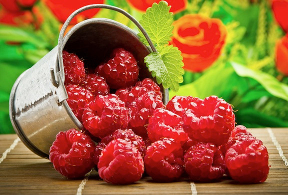 Ăn quả mâm xôi thường xuyên có thể ngăn ngừa tổn thương não và mất trí nhớ liên quan đến tuổi tác.