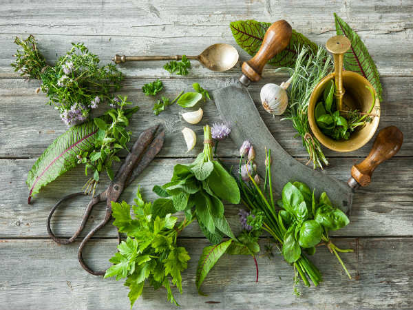 Thảo mộc như rau thơm và rau mùi chứa đầy vitamin A. Hãy cho chúng vào chế độ ăn uống để ngừa thiếu hụt vitamin A.