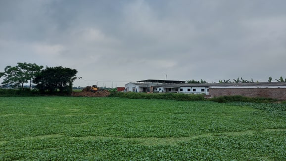 Liên quan vụ 72 tấn nội tạng động vật không rõ nguồn gốc, Cục QLTT tỉnh Hải Dương đã ra quyết định xử phạt hành chính số tiền 39 triệu đồng đối với Nguyễn Duy Huy (SN 1975, ở xã Bình Xuyên, huyện Bình Giang, tỉnh Hải Dương (chủ lô nội tạng) về các hành vi vi phạm hành chính theo quy định tại các Nghị định 50/2016/NĐ-CP và 124/2015/NĐ-CP của Chính phủ, như: không đăng ký thành lập hộ kinh doanh và kinh doanh hàng hóa không rõ nguồn gốc xuất xứ.
