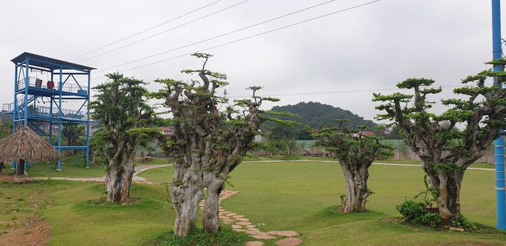 Thực địa vào ngày 5/6/2022, PV Báo Tri thức và Cuộc sống vẫn ghi nhận tại Big Sun vẫn ngang nhiên hoạt động, đón và tổ chức cho khách ngủ nghỉ, vui chơi, thách thức cơ quan quản lý nhà nước.