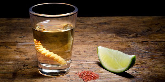 Rượu ngâm ấu trùng thân cây gỗ. Loại rượu này có vị như Tequila, nhưng mạnh hơn, tinh khiết hơn và được ngâm cùng với các loại ấu trùng. Những con ấu trùng này được xem là làm thay đổi tính chất hóa học của rượu, người ta dùng nó như một loại thuốc kích tình.