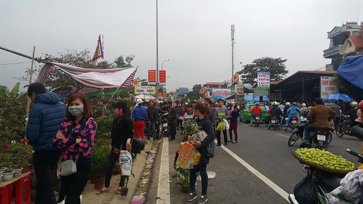 Cây cảnh là mặt hàng thu hút đông sự chú ý của người dân.