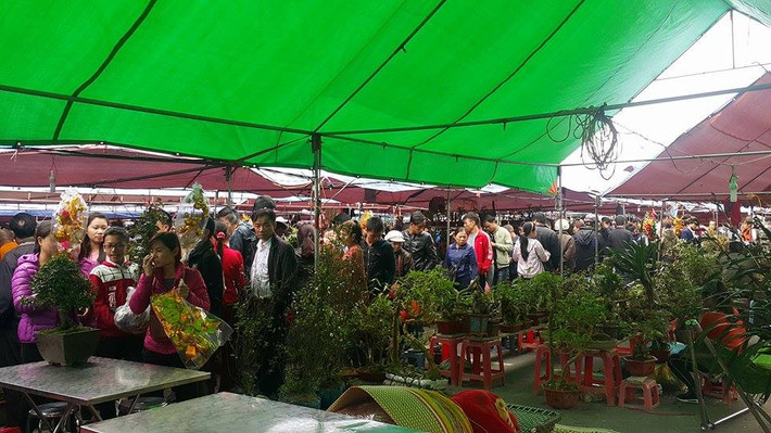 Trong hai ngày lễ hội, lực lượng chức năng sẽ căn cứ tình hình, mật độ phương tiện trên QL10 để chủ động phân luồng cho các xe tải, xe khách chạy tuyến cố định Nam Định - Ninh Bình ngay từ ngã ba Lộc An, ngã tư QL10-QL21B theo hướng Phủ Lý - QL1 - Ninh Bình. Phối hợp với Công an tỉnh Ninh Bình phân luồng các phương tiện từ Ninh Bình đi Nam Định ngay từ ngã tư cầu Vòm, cầu Non Nước (phía Ninh Bình) hay phân luồng các phương tiện từ nút giao đường cao tốc Cao Bồ đi Phủ Lý - TP Nam Định.