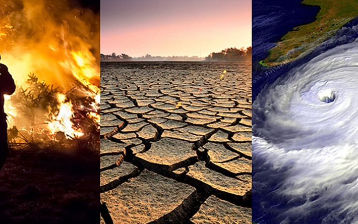Việc phát thải khí nhà kính (CO2) quá mức trong thời gian qua được các chuyên gia ước tính sẽ khiến các khu rừng nhiệt đới ấm lên khoảng 4 độ C trong thế kỷ 21.