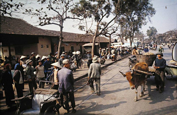 Bến xe Kim Mã đông đúc. Vào những năm 1970, xe đẹp và xích lô là những phương tiện đi lại phổ biến nhất. Ngoài ra, người dân còn sử dụng xe bò kéo để chở hàng hóa cồng kềnh.