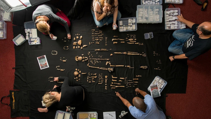 Kết quả nghiên cứu mới đây dựa trên phân tích hóa thạch của người Homo naledi lần đầu tiên được phát hiện trong cuộc khai quật tại hệ thống hang động Rising Star, Nam Phi vào năm 2013.