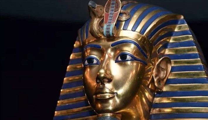 Việc tìm thấy 130 gậy chống trong lăng mộ góp phần chứng minh pharaoh Tutankhamun thực sự phải chống gậy để đi lại.