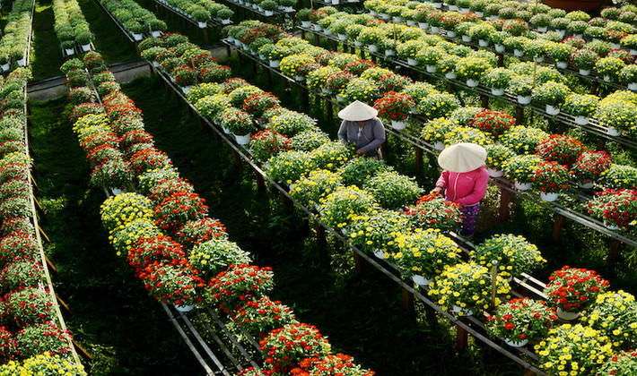 Thêm nữa, Sa Đéc nổi tiếng là nơi tọa lạc ngôi nhà cổ của ông Huỳnh Thủy Lê - nhân vật nam chính trong "The Lover". Ngoài ra, Sa Đéc có nhiều công trình cổ ven sông với kiến trúc độc đáo. Ảnh: Dulich.dongthap.gov.vn.