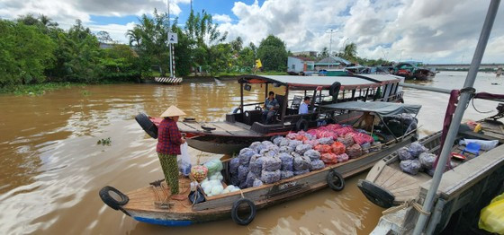 Được hình thành từ khoảng cuối những năm 1980 của thế kỷ 17 tại vàm sông Cái Bè (thuộc xã Đông Hòa Hiệp, huyện Cái Bè, Tiền Giang), chợ nổi Cái Bè là nơi nhiều ghe thuyền của người dân các tỉnh Tiền Giang, Bến Tre, Vĩnh Long đến để mua bán, trao đổi hàng hóa. Ảnh: SGGP.