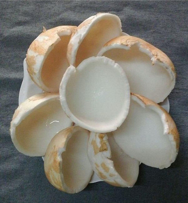 Số nước và cùi dừa này chia 3 phần để ăn và uống vào buổi sáng, chiều, tối trước khi ăn cơm 30 phút.