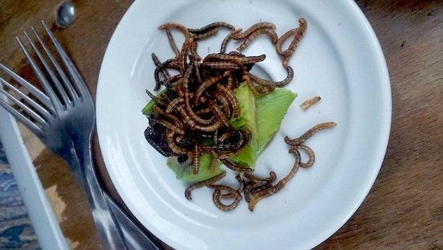 Châu chấu và sâu gạo ở Le Festin Nu (Paris, Pháp): Hai món ăn lạ lùng từ loại côn trùng này được người dân châu Phi và châu Á dùng làm thức ăn từ lâu, nhờ giá trị dinh dưỡng cao, giàu protein và ít chất béo. Chúng có lớp vỏ giòn và vị ngậy như lạc.