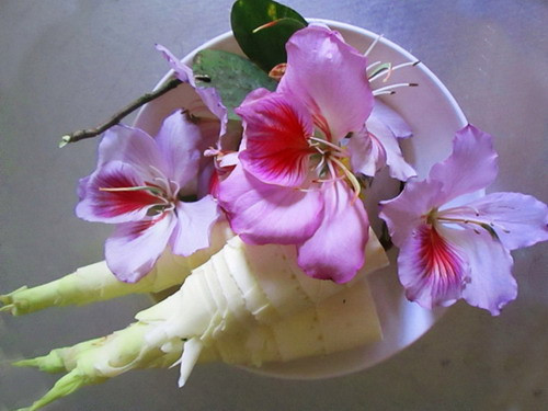 Món ăn từ hoa ban rừng: Hoa ban rừng thường nở rộ vào tháng 3. Người dân miền núi Tây Bắc thưởng sử dụng hoa ban để chế biến nhiều món ăn đặc sản được nhiều người ưa thích.