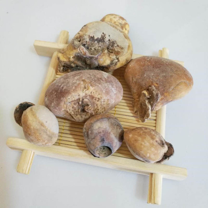 Đặc biệt, quả tu nguyên cũng được dùng để chống ung thư và tăng cường khả năng miễn dịch.