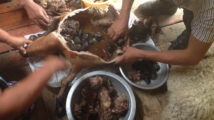 Hành động này khiến những con vật cực kỳ đau đớn trước khi chết. Tồi tệ hơn, chúng không thể chết ngay tức khắc mà chết từ từ, cảm nhận sinh mệnh trôi dần qua sự hành hạ dã man của con người.