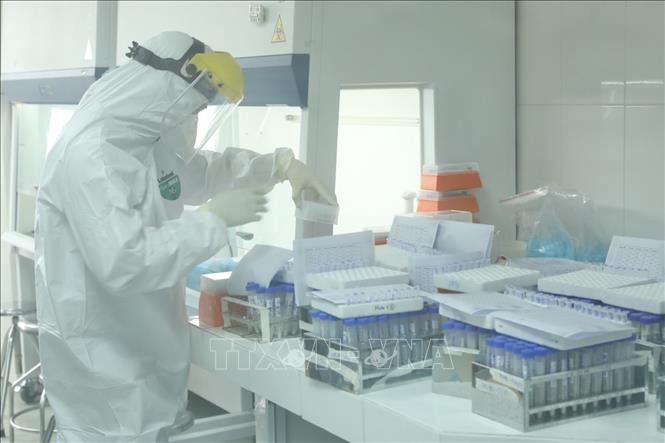 Nói cách khác, XAV-19 có khả năng tạo miễn dịch tức thời và ngăn chặn virus xâm nhập vào các tế bào. Đây là khác biệt quan trọng so với các kháng thể đơn dòng đang được sử dụng để điều trị cho các bệnh nhân ở giai đoạn mới nhiễm.