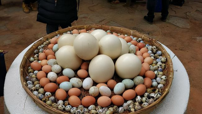 Trứng là nguyên liệu nấu ăn của mọi người, mọi nhà, phổ biến khắp thế giới. Có rất nhiều loại trứng thường thấy như trứng gà, trứng cút, trứng vịt, trứng ngỗng. Ngoài ra còn có trứng chim bồ câu, trứng đà điểu, trứng rùa hiếm hơn, không mấy người được ăn.