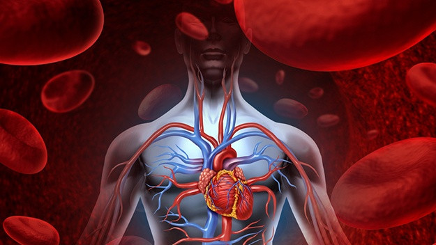 Không chỉ thế, hàm lượng homocysteine cao còn làm tăng nguy cơ mắc bệnh Alzheimer, sa sút trí tuệ, chậm phát triển trí tuệ, tự kỉ ở trẻ em, tăng nguy cơ sảy thai, thai lưu thậm chí là gây vô sinh.