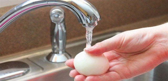 Hành động rửa trứng của cô Trương đã giúp vi khuẩn xâm nhập trực tiếp vào bên trong vỏ trứng, khiến trứng bị hư hỏng, mốc lên, lòng trắng trứng chuyển màu ngả xanh, có mùi hắc.