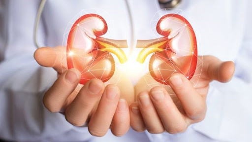 Vì vậy, nếu gần đây lượng nước uống không thay đổi mà lượng nước tiểu giảm rõ rệt thì cần đến bệnh viện khám chức năng thận kịp thời để loại trừ nguy cơ nhiễm độc niệu.