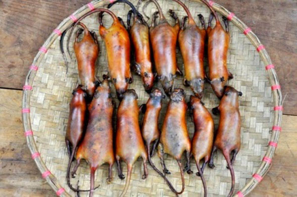 Chuột ở cao nguyên đá Hà Giang là những con chuột đồng, thường có thể săn bắt quanh năm, tuy nhiên vào mùa thu hoạch lúa là mùa chuột nhiều nhất.