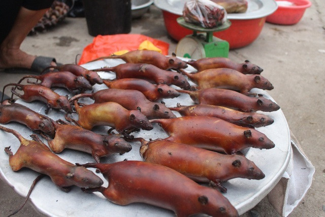 Được biết, thịt chuột khô có thể bảo quản được cả năm trời, muốn ăn lúc nào thì gỡ ra ăn lúc đó. Khách đến nhà được người La Chí đãi món thịt chuột nướng, xào thơm ngon cùng chút rượu hoẵng, sẽ khiến bạn khó quên món ăn này.