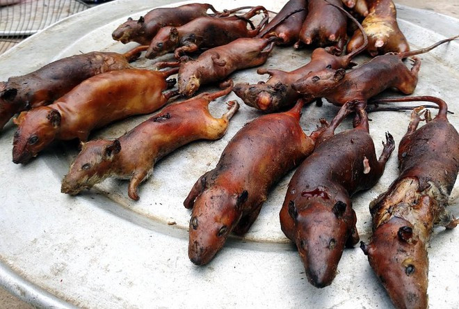 Từ một món ăn hàng ngày, thịt chuột của người La Chí giờ đây đã trở thành một món đặc sản ở Hà Giang, được nhiều người biết đến và tò mò muốn trải nghiệm.