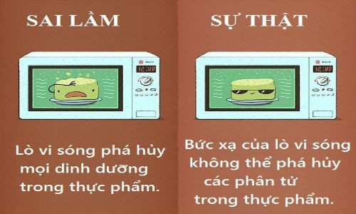 Các nhà nghiên cứu tại Đại học Harvard (Mỹ) tin rằng lò vi sóng giúp bảo tồn các yếu tố dinh dưỡng trong thức ăn. Nó làm nóng thức ăn nhanh chóng, đồng nghĩa với việc vitamin C và nhiều thành phần hữu ích khác không có thời gian để phá hủy.