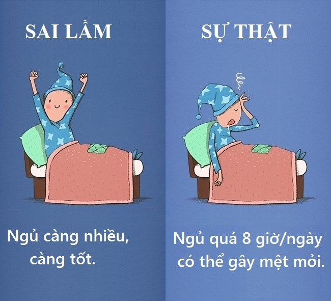 Ngủ quá 8 tiếng mỗi đêm có thể gây hại cho não bộ, khiến suy nghĩ chậm chạp, không linh hoạt và mệt mỏi.