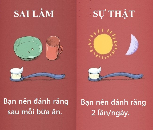 Nhiều người khuyên bạn nên đánh răng ngay sau khi ăn. Tuy nhiên, đó lại là điều sai lầm, đặc biệt khi bạn vừa ăn thực phẩm ngọt hoặc có tính axit. Đường và axit có thể làm mềm men răng, lúc này, kem đánh răng có thể gây hại bộ nhai. Sau khi ăn, bạn chỉ nên súc miệng bằng nước sạch. Nếu muốn đánh răng, hãy đợi ít nhất 30 phút sau khi ăn.