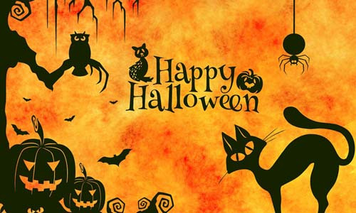 Cũng trong dịp lễ hội Halloween, người ta tránh đi vào đường có mèo đen vì cho rằng đó là điềm xấu, không may mắn. Quan niệm mê tín này có nguồn gốc từ thời Trung cổ khi nhiều người tin rằng phù thủy thường biến thành mèo đen để tránh bị con người phát hiện.