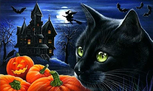 Những biểu tượng nổi bật của Halloween như mèo đen, nhện và dơi thường đi liền với nhau bởi chúng được cho là có mối liên quan mật thiết với phù thủy và những điều kém may mắn, xui xẻo.
