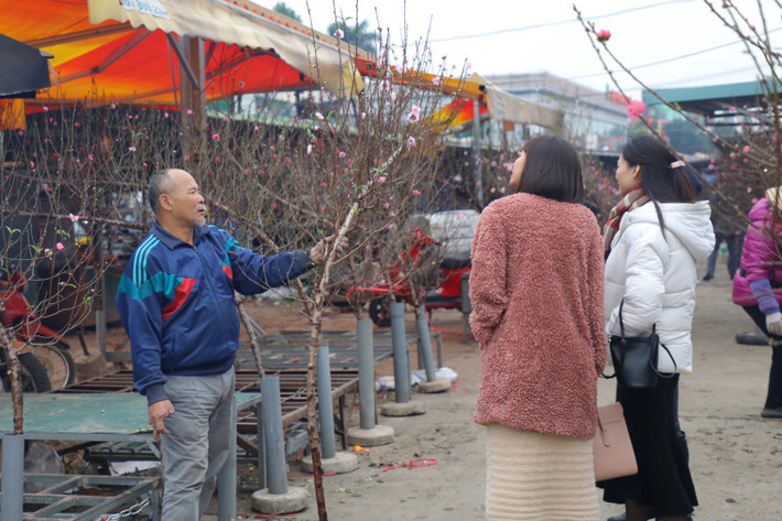 Theo các tiểu thương, giá đào Tết năm nay cao hơn năm ngoái. Giá cành đào nhỏ dao động 100 nghìn đến 300 nghìn đồng/cành; cành đào to dao động từ 700 nghìn đến vài triệu đồng tuỳ vào độ đẹp, thế cành, lượng hoa…