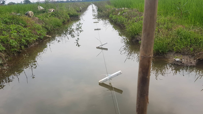 Mới đây, Cơ quan Công an Hải Dương cảnh báo người dân tuyệt đối không sử dụng điện để bẫy chuột, kích cá. Thời gian tới, cùng với việc tuyên truyền rộng rãi trên các phương tiện thông tin đại chúng, Công an tỉnh sẽ rà soát các hộ dân hiện đang sử dụng điện bẫy, diệt chuột để tuyên truyền trực tiếp, cho ký cam kết không tái sử dụng, đồng thời tăng cường kiểm tra, kiên quyết xử lý nghiêm các trường hợp sử dụng điện vào mục đích bẫy diệt chuột, kích cá.