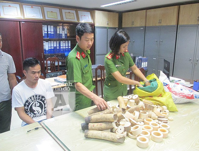 Tại nhà của đối tượng Nguyễn Hữu Tiễn (SN 1983), tổ công tác đã thu giữ được 92kg vật phẩm nghi là ngà voi