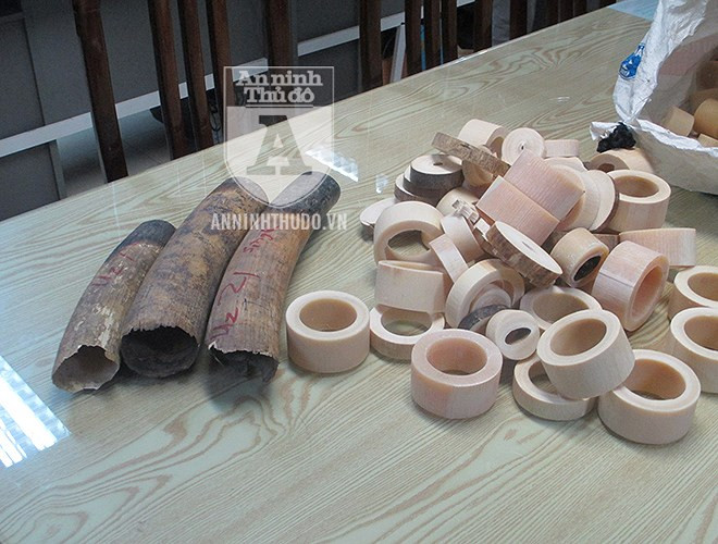 Tổng trọng lượng số vật phẩm nghi là ngà voi bị thu giữ trong lần phát hiện này lên tới 179kg