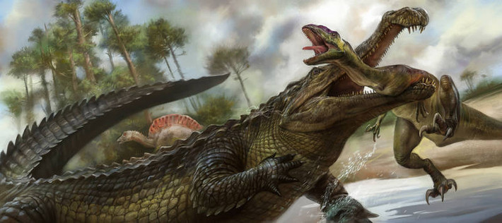 Sarcosuchus gây chú ý với một chiếc mõm dài chiếm tới 75% kích thước hộp sọ.