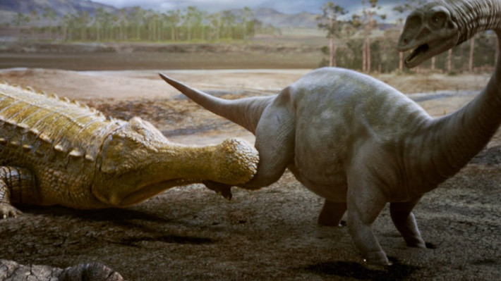 Các chuyên gia ước tính, thủy quái Sarcosuchus đạt kích thước tối đa khi sống được khoảng 60 năm.