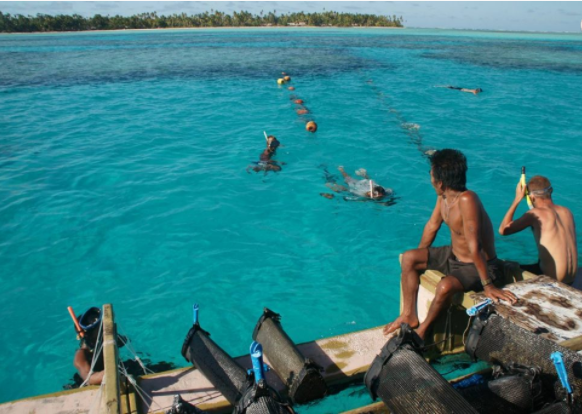 Với vị trí địa lý nằm ở Thái Bình Dương, Kiribati là một trong những quốc gia đầu tiên trên thế giới chào đón năm mới.
