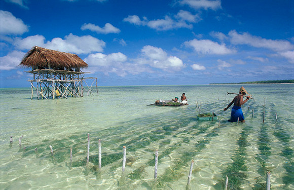Ngôn ngữ chính thức ở Kiribati là tiếng Gilbert và tiếng Anh. Trong đó, tiếng Anh được sử dụng rộng rãi với khoảng 80% dân số nói ngôn ngữ này.