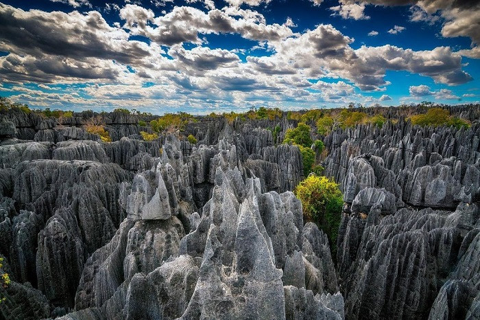 Tsingy là một khu rừng đá ngoạn mục, là điểm du lịch mạo hiểm nằm trên hòn đảo Madagascar. Khu rừng này còn được gọi là “rừng dao”, được phát hiện từ những năm 1990 và đã được công nhận là Di sản thế giới. (Ảnh: IT)