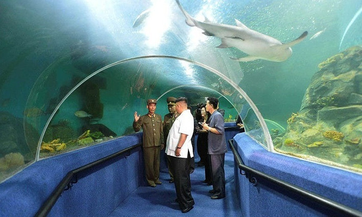 Frolov nói anh chọn đến trại hè khi đó vì muốn một kỳ nghỉ bãi biển với chi phí rẻ. Do Triều Tiên tài trợ hầu hết, chi phí các trại viên bỏ ra chỉ khoảng 300-400 USD.