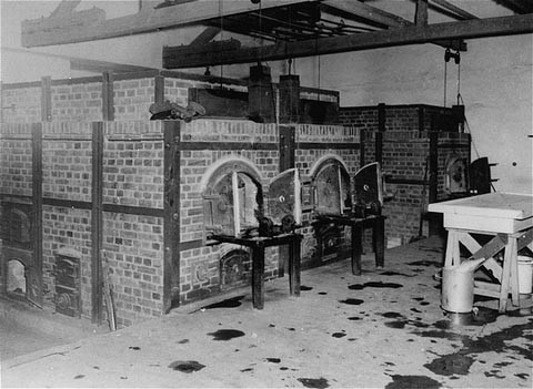 Dachau là trại tập trung đầu tiên của phát xít Đức và có thời gian hoạt động lâu nhất. Trại tập trung này là nguyên mẫu cho Đức xây dựng các trại tử thần khác. Nhiều tù nhân bị tra tấn, giết hại trong các lò thiêu hay làm đối tượng trong các cuộc thí nghiệm hãi hùng, phi nhân tính. Trại Dachau cũng là nơi Đức quốc xã huấn luyện đội ngũ nhân viên bảo vệ, lính canh ở các trại tập trung.