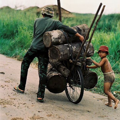 Em bé phụ cha đẩy xe chở gỗ.