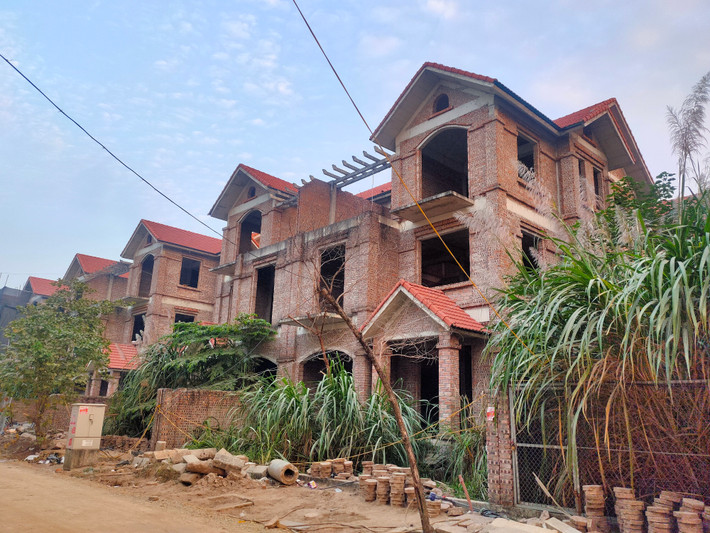 Nhiều căn biệt thự bỏ hoang, cỏ dại mọc um tùm, che hết lối vào nhà.